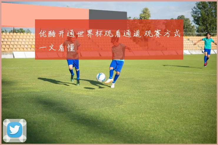 优酷开通世界杯观看通道 观赛方式一文看懂