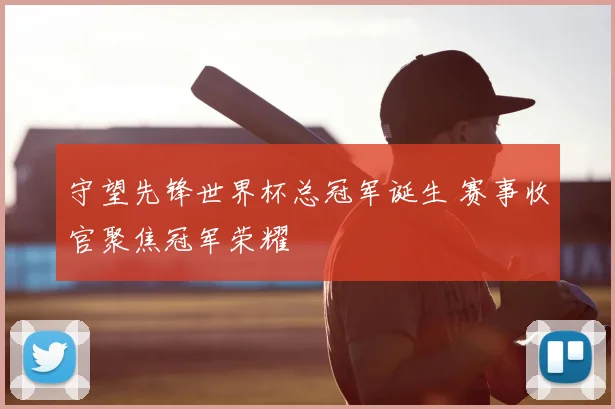 守望先锋世界杯总冠军诞生 赛事收官聚焦冠军荣耀