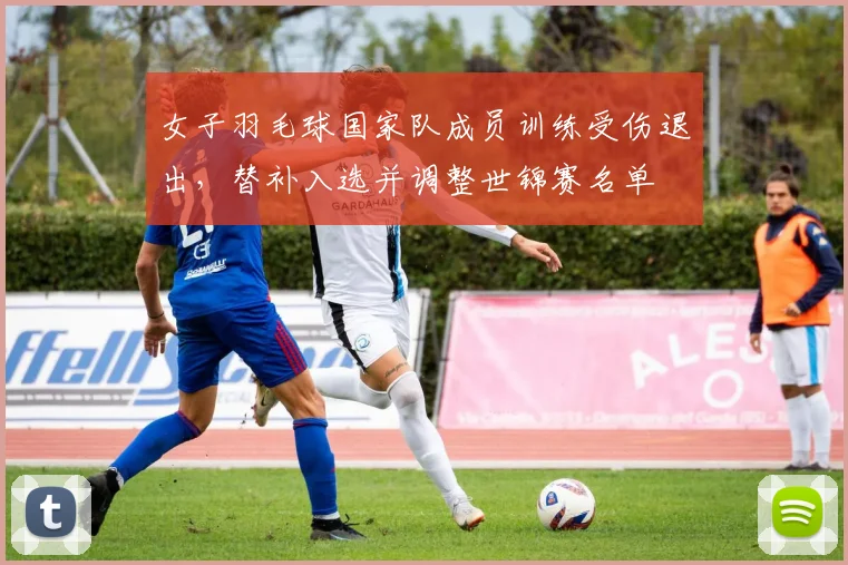 女子羽毛球国家队成员训练受伤退出,替补入选并调整世锦赛名单