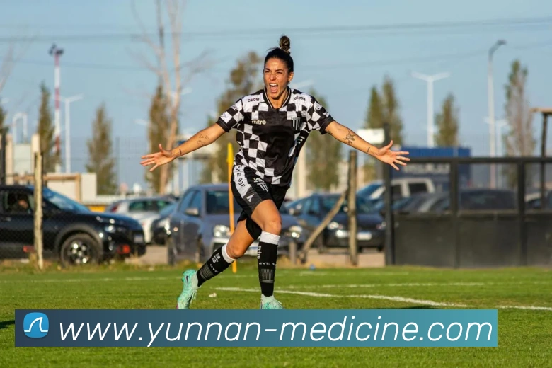 云开体育app官网入口app平台生态图